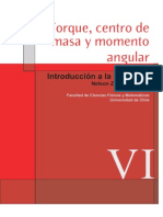 Torque, Centro de Masa y Momento Angular