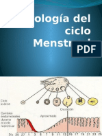 Patologia Del Ciclo Menstrual