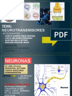 Neurotransmisores y Neuropeptidos