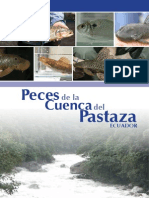 PecesComunesdelaCuencaPastaza Ecuador