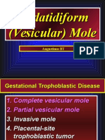 Vesicular Mole