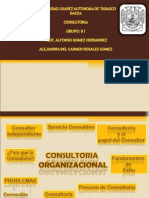 Consultoria Organizacional