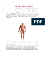 Posicion Anatomica