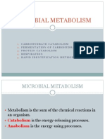 Lab 4 Microbial Metabolism