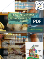 2752 Requerimientos Nutricionales Del Ser Humano