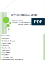 Environmental Audit