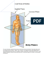 Planes of Movement and Terms of Position