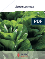 Cultivo Lechuga PDF