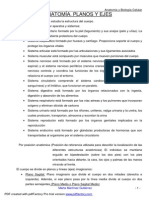 APUNTES DE ANATOMIA Marta Martinez PDF