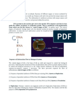 Central Dogma of Life