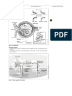 Toronto Notes Nephrology 2015 3