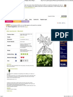 Acer Saccharum Sugar Maple, Florida Maple, Hard Maple, Rock Maple PFAF Plant DatabaseMED 2