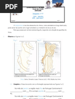 Temperatura Ficha de Trabalho