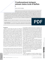 Identiﬁcation of Conformational Antigenic Epitopes and Dominant Amino Acids of Buffalo β-Lactoglobulin