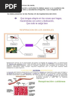 Respiracion Animales y Humanos Sexto