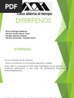 Diterpenos 