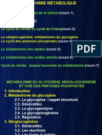 Biochimie Metabolique