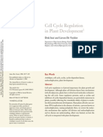 Cell Cycle Regulation in Plant Development