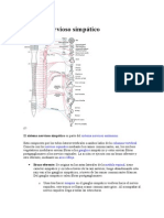 Sistema Nervioso Simpático y Parasimpatico