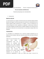 Plan de Cuidados de Enfermería