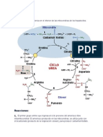 Ciclo de La Urea