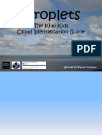 Cloud Identification Guide