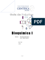 BIOQUÍMICA I - Guía de Laboratorio