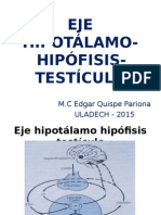 Eje Hipotálamo Hipófisis Testículo