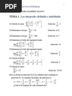 Serie de Calculo Integral 