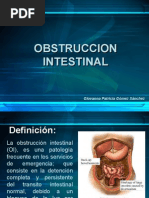 Obstruccion Intestinal Trabajo 1207351316197252 9