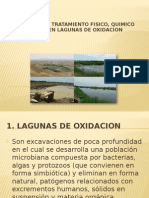 Lagunas de Oxidacion