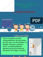 Pueblo Mapuche