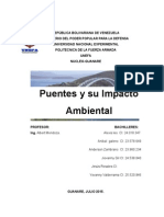 Puentes y Su Impacto Ambiental