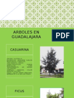 Arboles en Guadalajara