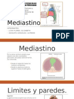 Mediastino