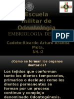 Embriologia Dental