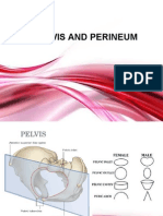 Curs Pelvis Perineu