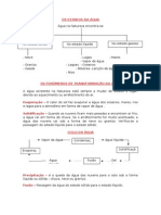 Estudo Meio 4º Ano