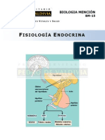 Sistema Endocrino PDV