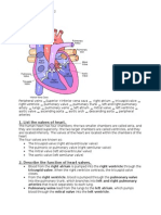 Heart Pathophysiology