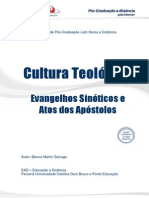 Evangelhos Sinóticos e Atos Dos Apóstolos