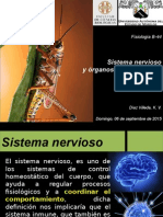 SNC y Organos Sensoriales de Insectos