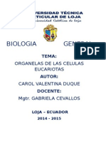 Organelas de Las Celulas Eucariotas