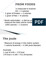 Energy From Foods - Lab