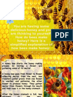 How Honey Is Made (Text Procedure)