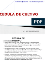 Cédula de Cultivo