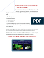 Cuestionamiento de La Teoría Celular Por Medio Del Músculo Estriado