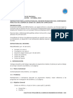 Instructivo para Informe Del Componente Practico Examen Complexivo