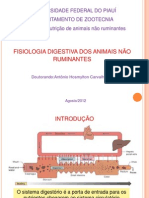 Aula Fisiologia Digestiva Dos Animais Não Ruminantes