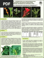 Diversidad y Distribución de Las Melastomataceae en Antioquia Con Base en Colecciones Del Herbario Universidad de Antioquia (Hua)